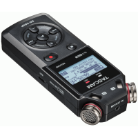 Tascam 2-CH 32-BIT FLOAT RECORDER W/USB-C INTERFACE