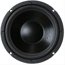 Woofer for Chiayo Stagepro 1WR10051